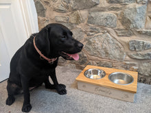 Load image into Gallery viewer, Personalized Double dog bowl stand
